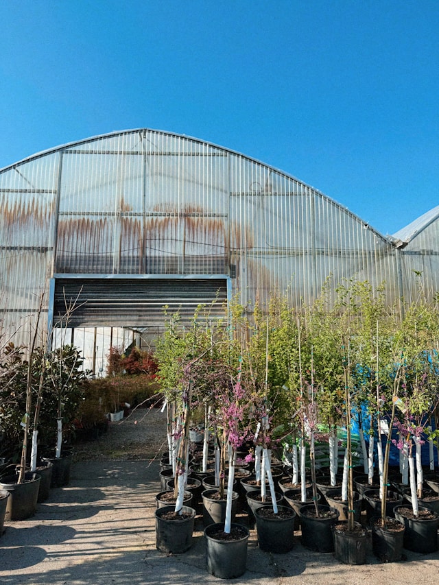 Foto over Zo werkt het, Van bestelling tot rooien, één proces